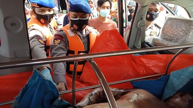 
 Satpolair Polres Karimun Evakuasi 1 Mayat Korban SB Tiga Saudara Tak Jauh dari Pantai Lubuk