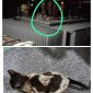 Blackout Massal di Karimun, Listrik Padam Akibat Seekor Kucing Kesetrum!
